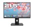 JAPANNEXT Monitor JN-I215FLFHSP-C65W / 21.5", 1920 x 1080, IPS, 75 Hz, USB-C Docking, crna